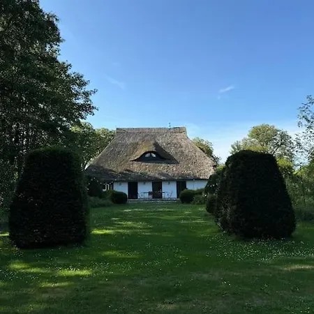 Idyllisches Reetdachhaus *